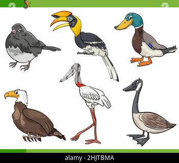 Cartoon-Illustration von Comic Vögel Tierarten Charaktere gesetzt Stock Vektor