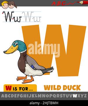 Pädagogische Karikatur Illustration des Buchstaben W aus Alphabet mit wilden Ente Vogel Tier Charakter Stock Vektor
