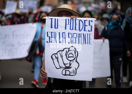 La Paz, Bolivien. 31st Januar 2022. „Du kannst der nächste sein“, liest ein Plakat eines Demonstrators unter einem Zeigefinger während eines Protestes gegen Gewalt gegen Frauen. Der Fall eines Serienvergewaltigers, in dessen Haus zwei Jugendliche tot aufgefunden wurden und der trotz einer kriminellen Verurteilung auf breiter Straße war, löste die Proteste aus. Quelle: Radoslaw Czajkowski/dpa/Alamy Live News Stockfoto