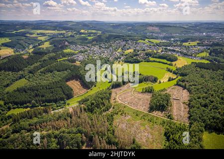 Luftaufnahme, Waldgebiet mit Waldschäden in Rhode, Olpe, Sauerland, Nordrhein-Westfalen, Deutschland, Baumtod, Schädigung von Rindenkäfern, Rindenbiene Stockfoto