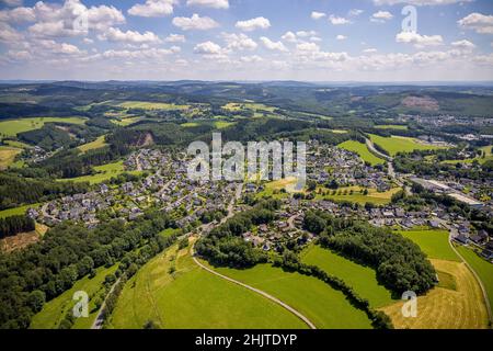 Luftaufnahme, Waldgebiet mit Waldschäden in Rhode, Olpe, Sauerland, Nordrhein-Westfalen, Deutschland, Baumtod, Schädigung von Rindenkäfern, Rindenbiene Stockfoto