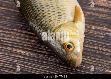 Roach Fisch auf einem hölzernen Hintergrund Stockfoto