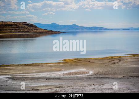 Ein Blick auf die Natur im Antelope Island State Park, Utah Stockfoto