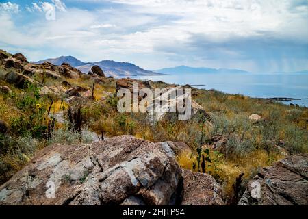 Ein Blick auf die Natur im Antelope Island State Park, Utah Stockfoto