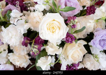 Viele lila und weiße Blüten Stockfoto
