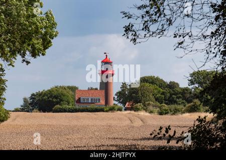 Leuchtturm hinter einem Kornfeld an einem Sommertag, Deutschland, Insel Fehmarn Stockfoto