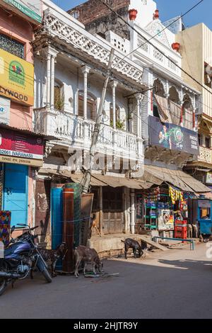 Gebäude am Straßenrand mit Balkonen und Ziegen am Stadtrand von Varanasi (Banaras oder Benares), einer Stadt am Fluss Ganges, Uttar Pradesh, Nordindien Stockfoto