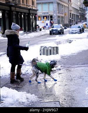 Die New Yorker nehmen ihre Hunde mit auf einen Spaziergang im Madison Square Park während eines Schneesturms im Winter, am 29. Januar 2022. Stockfoto