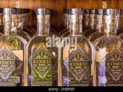 Cabo San Lucas, Los Cabos, Mexiko, 2. Oktober 2021: Mezcal Blue Agave Tequila Spirituosengeschäft in Los Cabos Marina in Cabo San Lucas, der verschiedene Tequila-Marken an Touristen verkauft Stockfoto