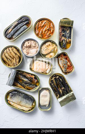 Geöffnete Konservendosen mit Saury, Makrele, Sprotten, Sardinen, Sardinen, Sardelle, Tintenfisch, Thunfisch über weiß strukturiertem Stein Tisch flach legen Overhead Ansicht vertikal. Stockfoto