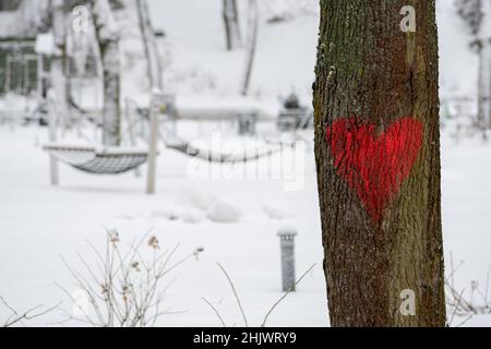 Rotes Herz auf einem Stamm eines alten Baumes in einem Park im Winter mit Schnee gemalt. Valentinstag, Geburtstage oder Hochzeiten und verschiedene Feste Stockfoto