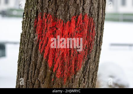 Rotes Herz auf einem Stamm eines alten Baumes in einem Park im Winter mit Schnee gemalt. Valentinstag, Geburtstage oder Hochzeiten und verschiedene Feste Stockfoto