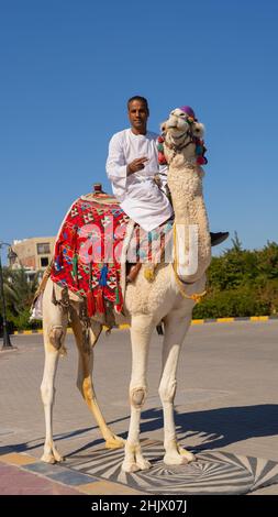 Arabischer Mann, der auf einem Kamel in einem touristischen Gebiet sitzt. Stockfoto