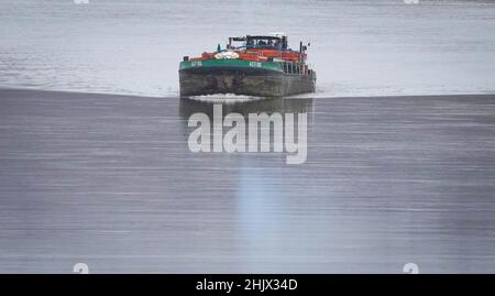 31. Januar 2022, Brandenburg, Schwedt/OT Criewen: Das unter polnischer Flagge fahrene Frachtschiff (GMS) AGT 06 ist auf der oder im Nationalpark Unterodertal unterwegs. Der Auen-Nationalpark ist das erste grenzüberschreitende großflächige Schutzgebiet mit Polen und verfügt über große Polder, die regelmäßig überflutet werden. Foto: Soeren Sache/dpa-Zentralbild/ZB Stockfoto