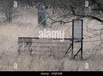 31. Januar 2022, Brandenburg, Schwedt/OT Criewen: Eine Wildschweinfalle steht auf einer Wiese im Nationalpark Unterodertal. Der Auen-Nationalpark ist das erste grenzüberschreitende großflächige Schutzgebiet mit Polen und verfügt über große Polder, die regelmäßig überflutet werden. Foto: Soeren Sache/dpa-Zentralbild/ZB Stockfoto