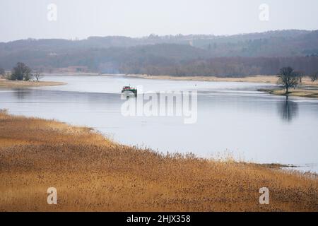 31. Januar 2022, Brandenburg, Schwedt/OT Criewen: Das unter polnischer Flagge fahrene Frachtschiff (GMS) AGT 06 ist auf der oder im Nationalpark Unterodertal unterwegs. Der Auen-Nationalpark ist das erste grenzüberschreitende großflächige Schutzgebiet mit Polen und verfügt über große Polder, die regelmäßig überflutet werden. Foto: Soeren Sache/dpa-Zentralbild/ZB Stockfoto