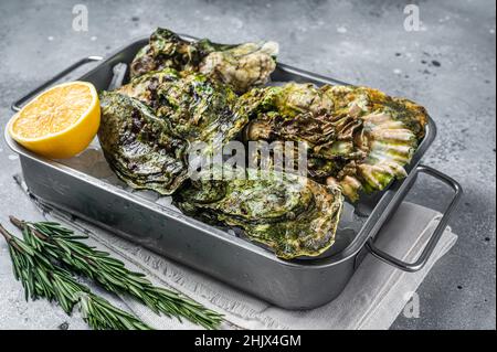 Frische geschlossene Austern, rohe Meeresfrüchte mit Zitrone und Eis in Stahltablett. Grauer Hintergrund. Draufsicht Stockfoto