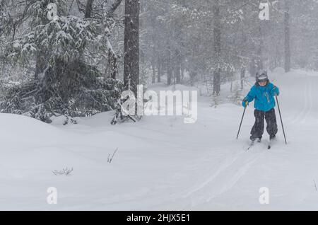 Junge Skilanglaufläuferin im Wald Stockfoto