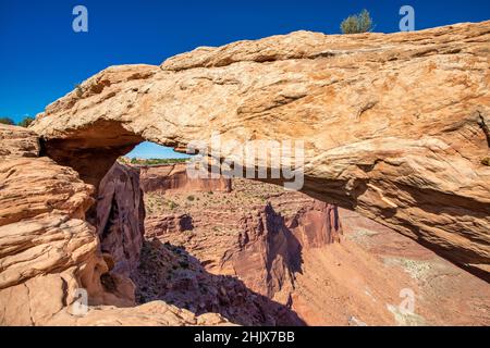 Panoramablick auf den berühmten Mesa Arch unter blauem Sommerhimmel im Canyonlands National Park, Utah Stockfoto