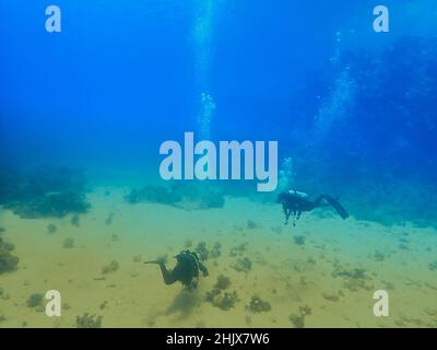 Taucher auf dem Meeresboden Stockfoto