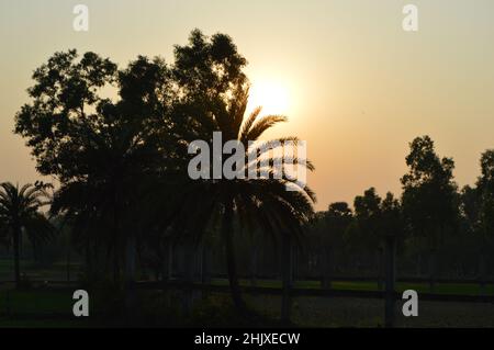 Sonnenuntergang Stockfoto