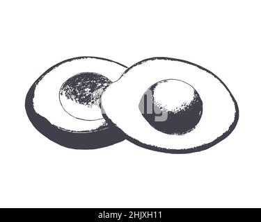 Avocado Skizze Stempel Aufdruck Bleistiftzeichnung, isoliert, weißer Hintergrund. Vektorgrafik Stock Vektor