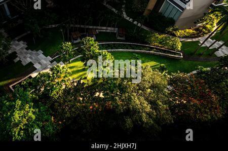 Wunderschöne Luftaufnahme eines tropischen Gartens zwischen Hochhäusern, Tageslicht am Abend, Blick von oben. Das Konzept für den Corporate Build Stockfoto