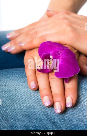 Gepflegte Hände halten eine Orchideenblume Stockfoto