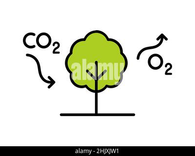 Kohlenstoffkreislauf. Baum absorbiert CO2 und gibt O2 frei. Prozessdiagramm zur Photosynthese. Reduzierung von Kohlendioxid. Sauerstoffproduktion. Aufforstungskonzept. Stock Vektor