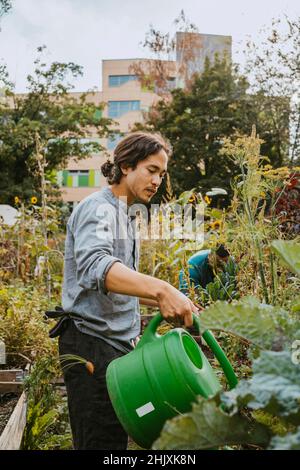 Junger männlicher Umweltschützer, der Pflanzen im Gemeinschaftsgarten wässert Stockfoto