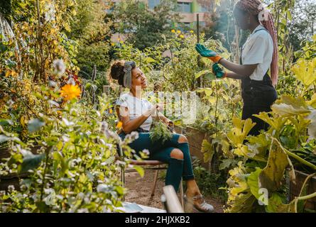 Bauern sprechen während der Arbeit im Gemeinschaftsgarten Stockfoto