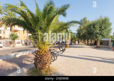 Spaziergang auf der Promenade von San Benedetto del Tronto, Marken, Italien, Europa Stockfoto