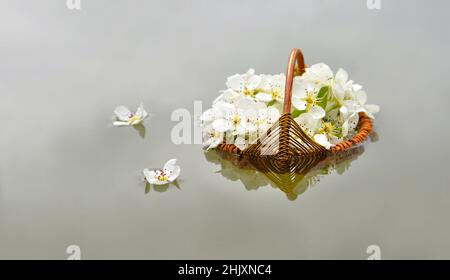 Stinkende Jasminringe in einem handgefertigten Korb, der im Wasser schwimmt Stockfoto