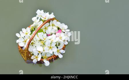 Stinkende Jasminringe in einem handgefertigten Korb, der im Wasser schwimmt Stockfoto