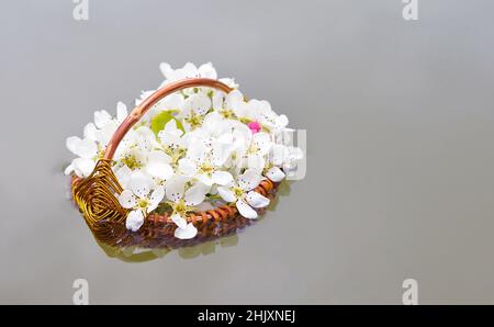 Stinkende Jasminringe in einem handgefertigten Korb, der im Wasser schwimmt Stockfoto