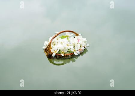 Stinkende Jasminringe in einem handgefertigten Korb, der im Wasser schwimmt Stockfoto