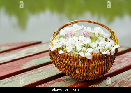 Stinkende Jasminringe in einem handgefertigten Korb, der im Wasser schwimmt Stockfoto