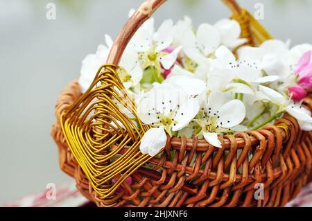 Stinkende Jasminringe in einem handgefertigten Korb, der im Wasser schwimmt Stockfoto