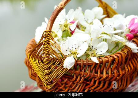 Stinkende Jasminringe in einem handgefertigten Korb, der im Wasser schwimmt Stockfoto