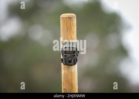 31. Januar 2022, Brandenburg, Schwedt/OT Criewen: Eine Wildtierkamera ist auf einem Holzmast auf einer Wiese montiert. Foto: Soeren Sache/dpa-Zentralbild/dpa Stockfoto