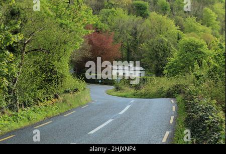 Landschaft von County Leitrim, Irland mit einer kurvenreichen Straße, die in Richtung eines von Grün umgebenen Ferienhauses führt Stockfoto