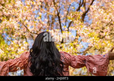 Junges Mädchen beobachten Kirschblüten Blumen am Nachmittag aus dem niedrigen Winkel Bild wird in shillong meghalaya indien aufgenommen. Stockfoto