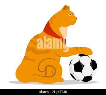 Ein starker, selbstbewusster Straßenkatze setzte seine Pfote auf einen Sportfußball. Fordert einen Gegner heraus. Cartoon rot gestromte Katze isoliert auf weißem Hintergrund Stock Vektor