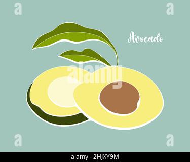 Avocado handgezeichnet, farbig mit weißem Umriss, isoliert. Vektorgrafik Stock Vektor