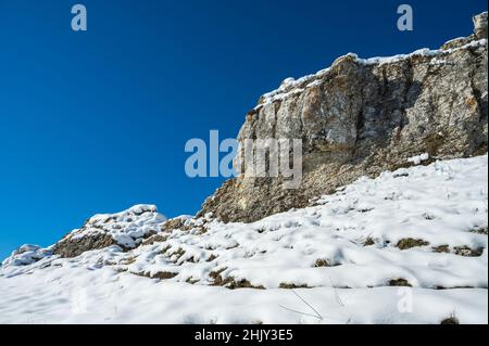 Eine schöne Aufnahme von verschneiten Bäumen Stockfoto
