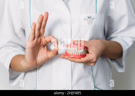 Der Zahnarzt hält Prothesen in den Händen. Zahnprothese in den Händen des Arztes Nahaufnahme. Vorderansicht der kompletten Prothese. Zahnmedizin Konzept Stockfoto
