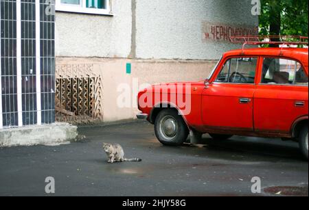 Übersetzung: tschernomorskaja Straße, eine Straße, die nach schwarzem Meer benannt ist, eine Katze neben dem sowjetischen roten Auto, Osteuropa. Hochwertige Fotos Stockfoto