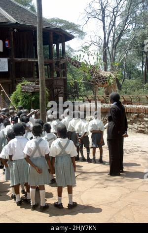 DAS GIRAFFE CONVENTION CENTER, AUF DEM GELÄNDE DES GIRAFFE MANOR. IN IHREM HERRENHAUS IN NAIROBI, KENIA, HABEN DIE ANDERSONS MEHR ALS EIN DUTZEND WILDER GIRAFFEN, DIE ZWEIMAL AM TAG KOMMEN UND IHREN KOPF DURCH DIE FENSTER UND TÜREN DES HERRENHAUSES STECKEN, UM IHREN LIEBLINGSSNACK MIT FRISCHEM OBST ZU GENIESSEN. DIE ROTHSCHILD-GIRAFFEN WURDEN WELTWEIT WENIGER ALS 150 REDUZIERT, ABER MIT HILFE DER BEMÜHUNGEN DES GIRAFFENGUTES IST DIE WELTBEVÖLKERUNG AUF 350 ANGEWACHSEN. BILD: GARYROBERTSPHOTO.COM Stockfoto