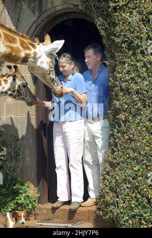 RICK UND BRYONY ANDERSON WERDEN VOR IHRER HAUSTÜR VON ZWEI ROTHSCHILD-GIRAFFEN BEGRÜSST. IN IHREM HERRENHAUS IN NAIROBI, KENIA, HABEN DIE ANDERSONS MEHR ALS EIN DUTZEND WILDER GIRAFFEN, DIE ZWEIMAL AM TAG KOMMEN UND IHREN KOPF DURCH DIE FENSTER UND TÜREN DES HERRENHAUSES STECKEN, UM IHREN LIEBLINGSSNACK MIT FRISCHEM OBST ZU GENIESSEN. DIE ROTHSCHILD-GIRAFFEN WURDEN WELTWEIT WENIGER ALS 150 REDUZIERT, ABER MIT HILFE DER BEMÜHUNGEN DES GIRAFFENGUTES IST DIE WELTBEVÖLKERUNG AUF 350 ANGEWACHSEN. BILD: GARYROBERTSPHOTO.COM Stockfoto