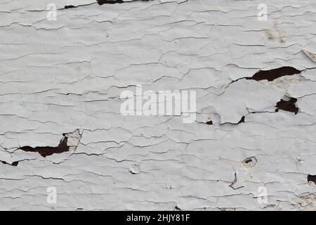 Gerissene Oberfläche aus weiß lackiertem Metall. Sie kann als Hintergrund verwendet werden. Nahaufnahmebildung von abblätternder und rissiger weißer Farbe auf der Wandoberfläche. Stockfoto